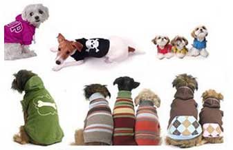 Bicho e Companhia - Foto 1